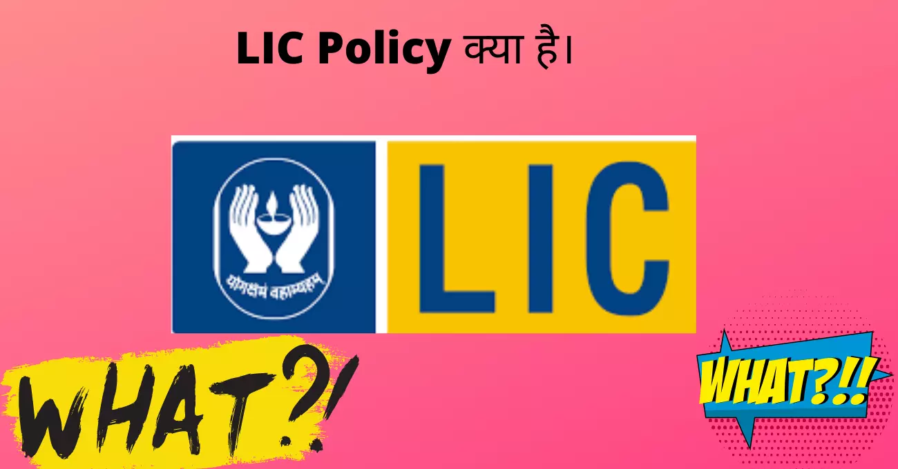 LIC Policy क्या है। 